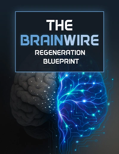 Audifort Bonus 2 The Brainwire Regeneration Blueprint